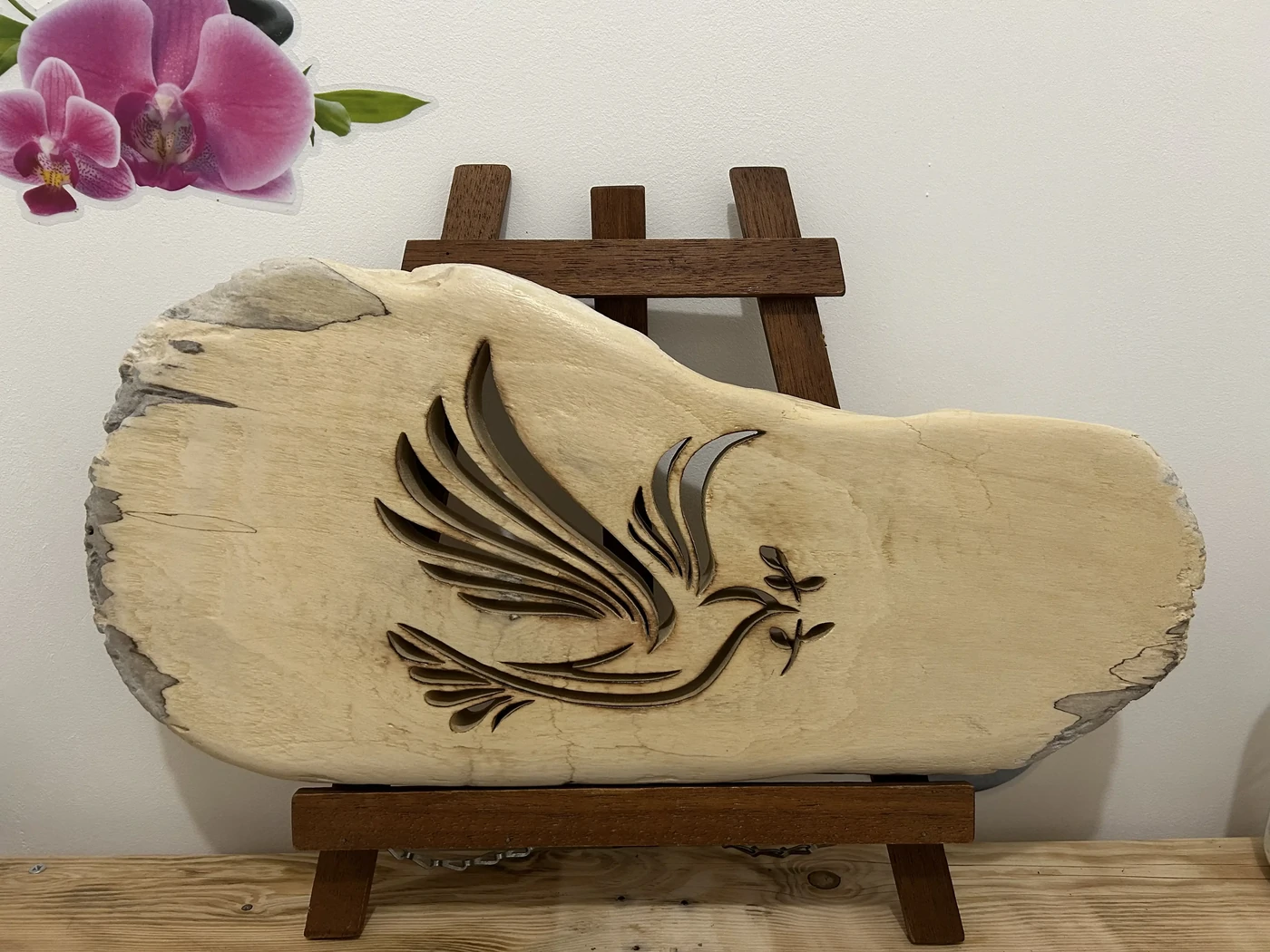 La colombe et le rameau d'olivier - Réalisé dans du bois flotté - fond dur et vitrificateur - 46x22 cms - création unique VENDUE